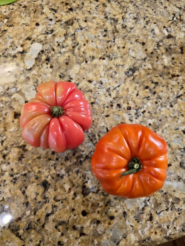 What kind are these?
