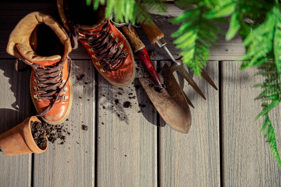 gardening tools arranged near a pair of brown boots and a potted plant gardening tools arranged near a pair of brown boots and a potted plant