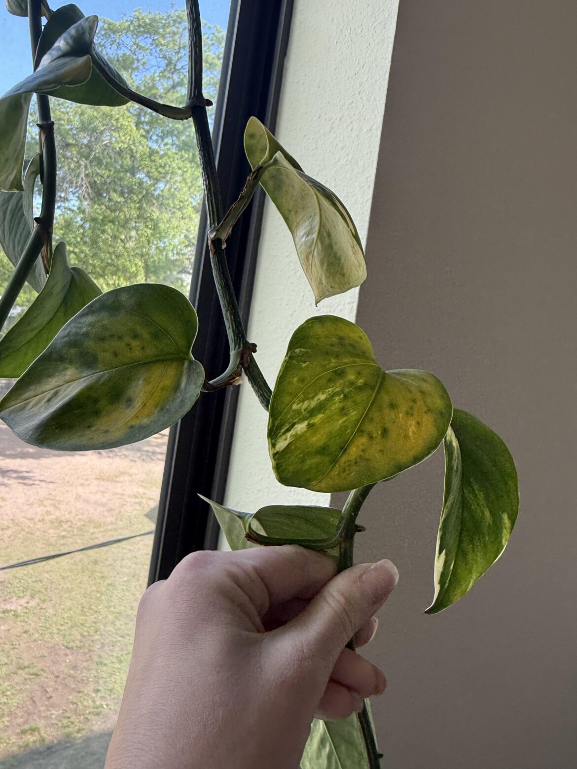 Need help