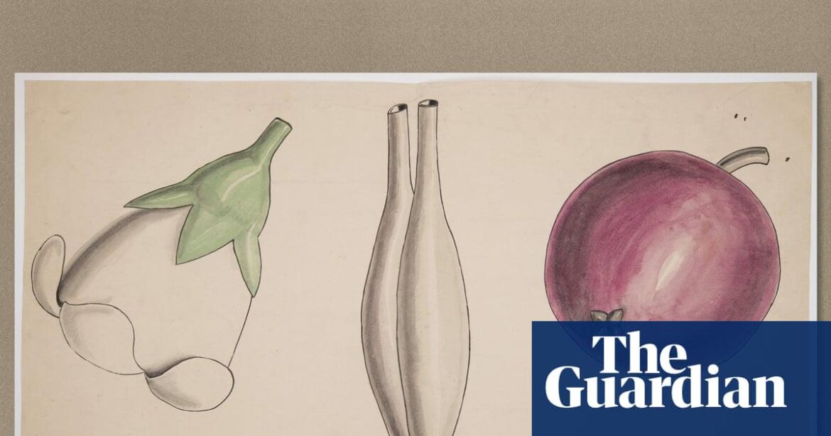 Cambridge offers botany course that inspired Darwin after rare archive uncovered Cambridge offers botany course that inspired Darwin after rare archive uncovered