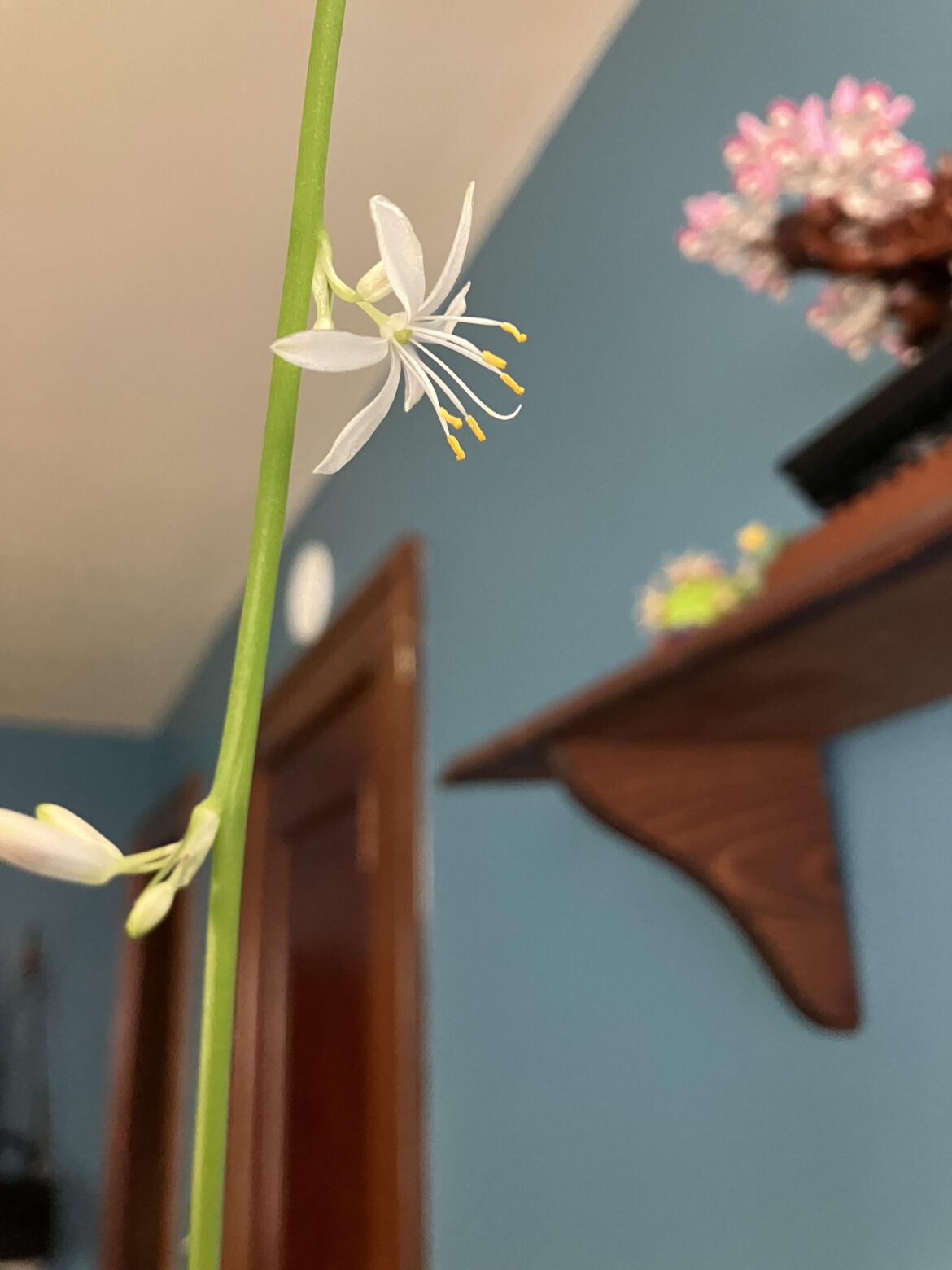 Hello there