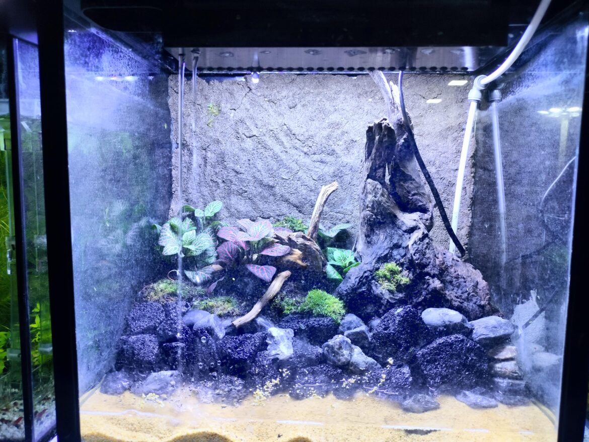 First time making. What animals should I house?