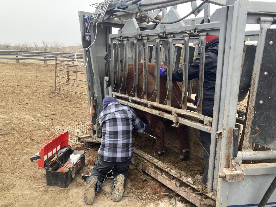 Annual Routine Maintenance.