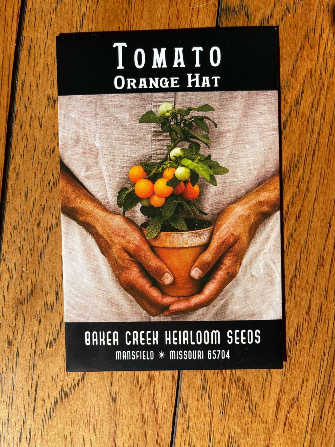 Orange Hat ~Hydro friendly Tomato variety
