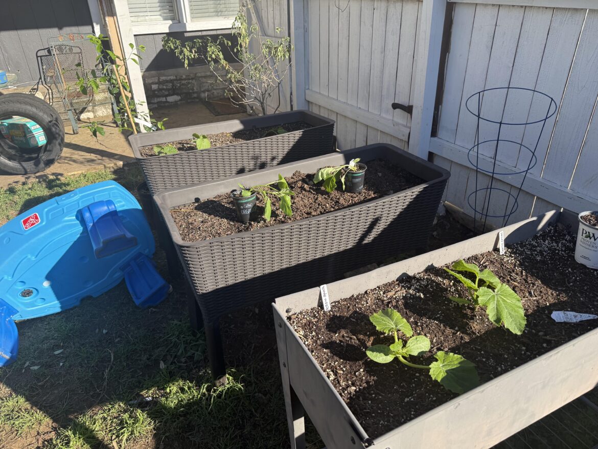 If this was your set up, how would you put a trellis on these?