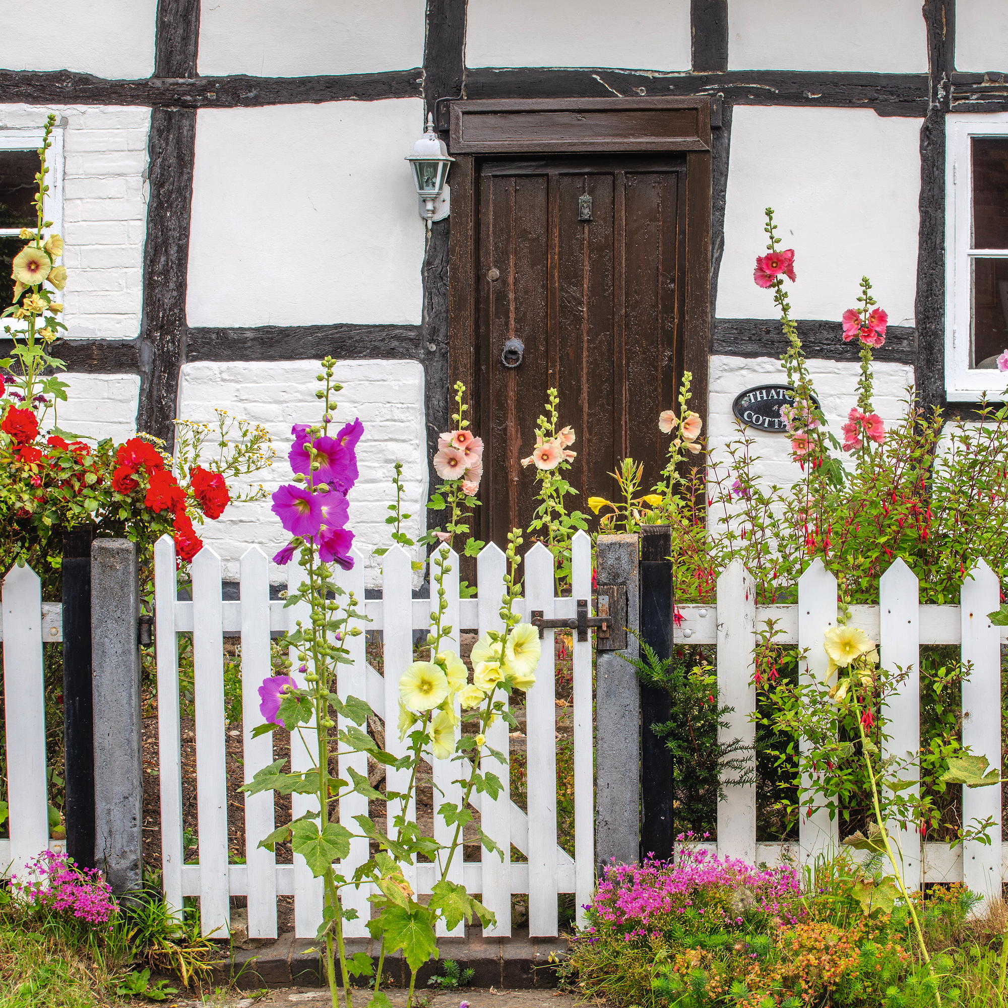 front garden with white picket fence