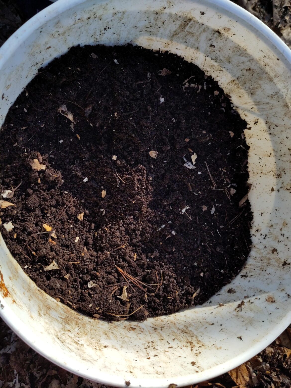 My friend's been delivering compostables; now I'm returning compost