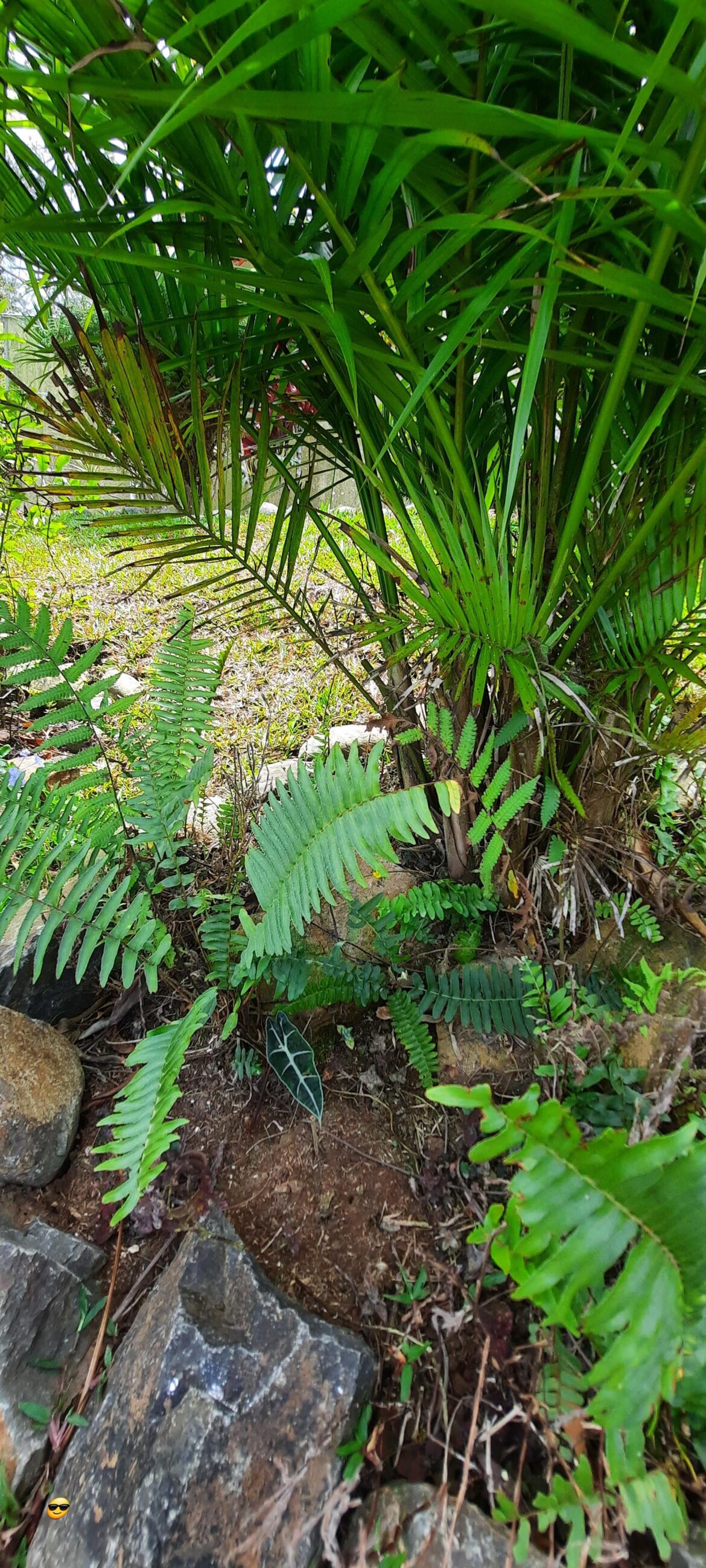 I spy with my little eye...