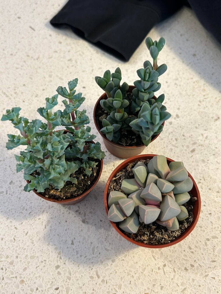 Making bad decisions at the nursery 🎶 💚