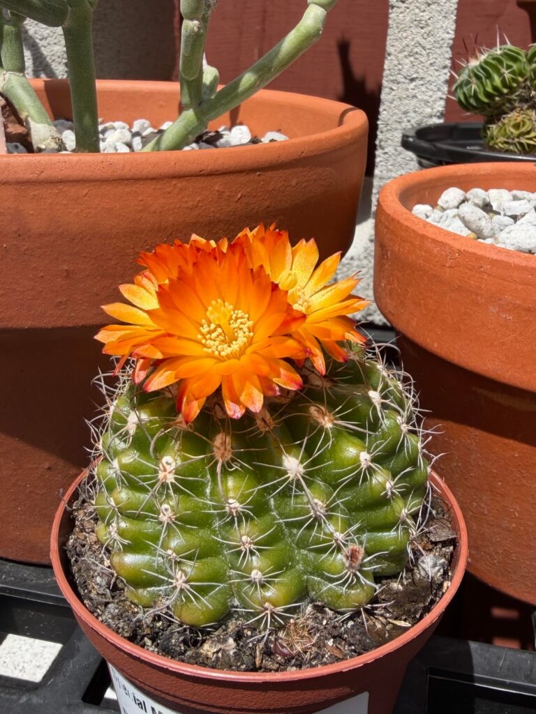 ID request please