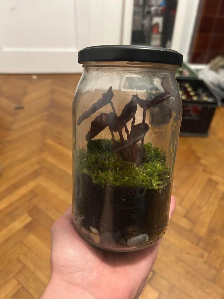 First ever ecosphere