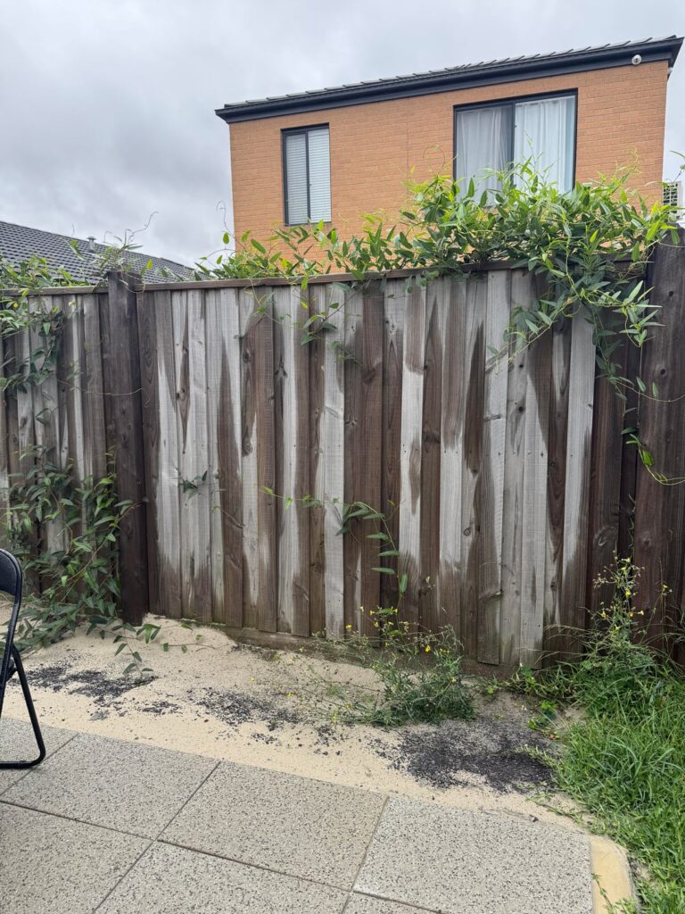 What trees to plant?! Please read description
