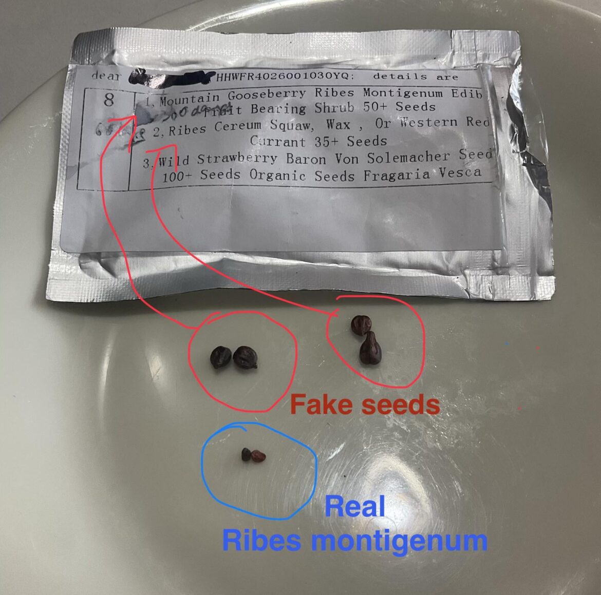 Fake seeds from Seeds World Garden