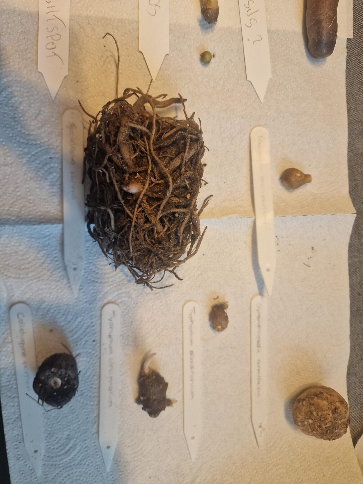 [Update] New additions