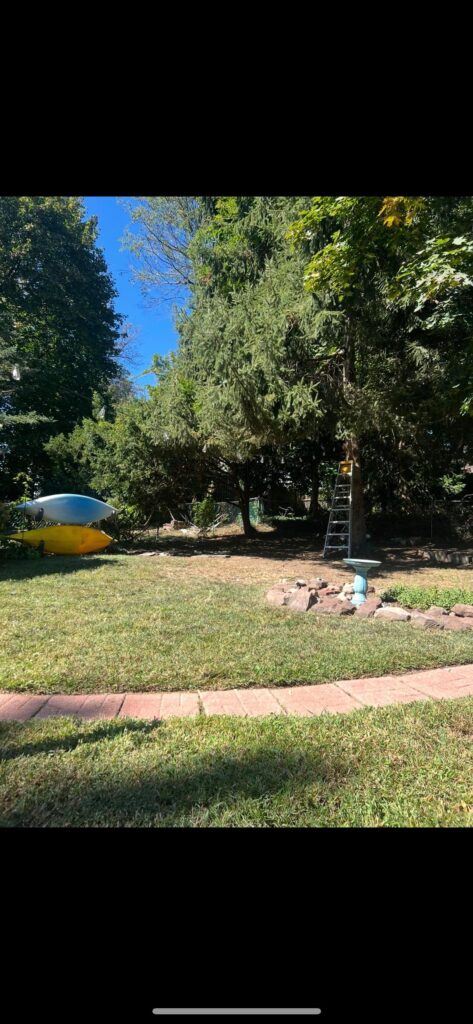 Do I kill it all and start over?