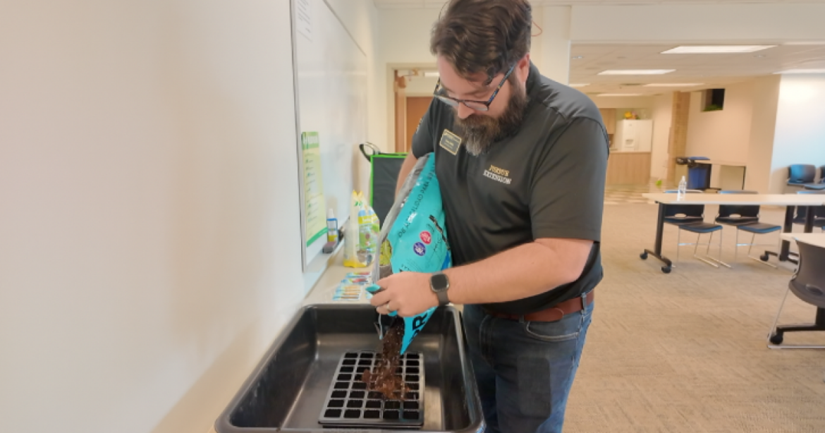 How to begin your spring garden indoors