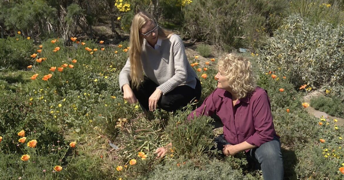 A GROWING PASSION: Botanic Garden In Your Backyard A GROWING PASSION: Botanic Garden In Your Backyard