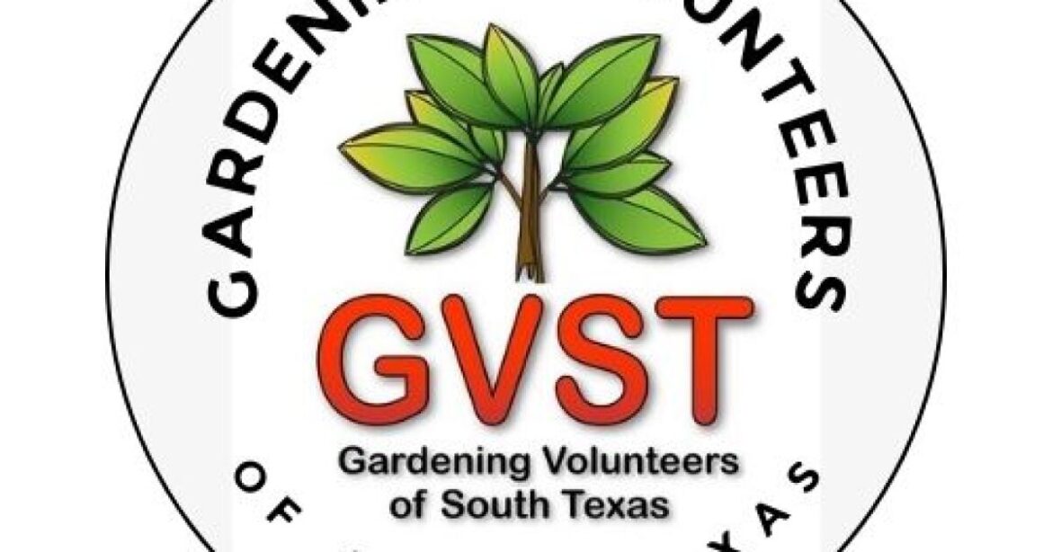 Gardening Essentials: Gardening during Drought