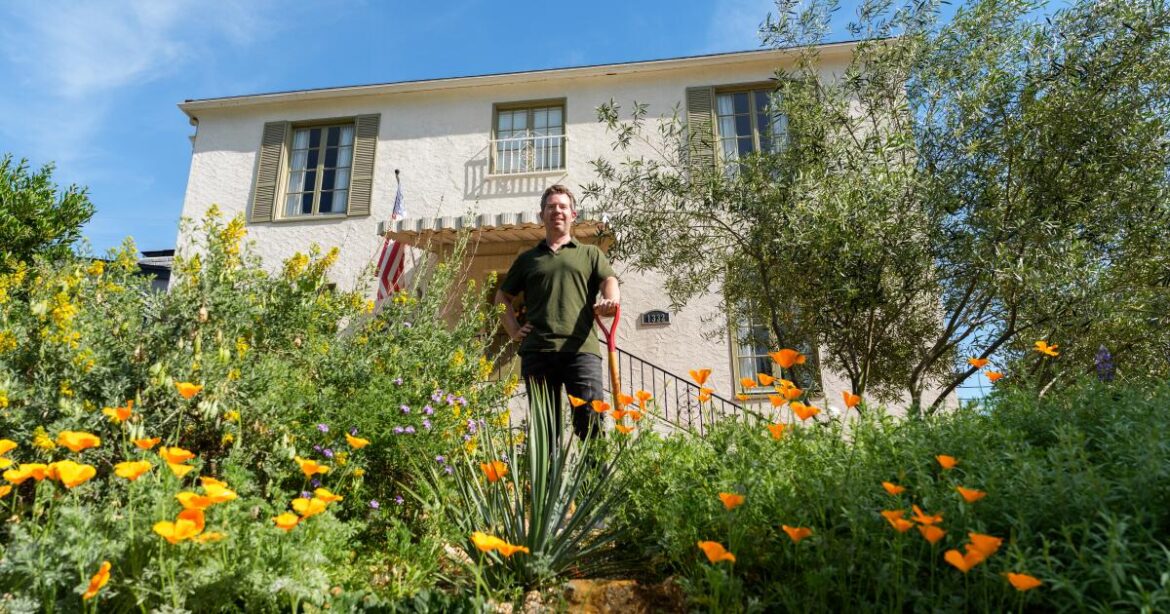 Glendale homeowner swapped his lawn for California native plants Glendale homeowner swapped his lawn for California native plants