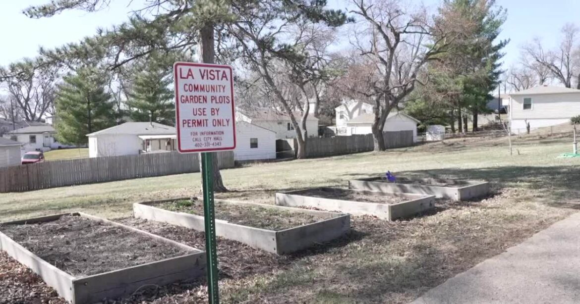 La Vista community garden plots available to rent for $20 at 3 city parks