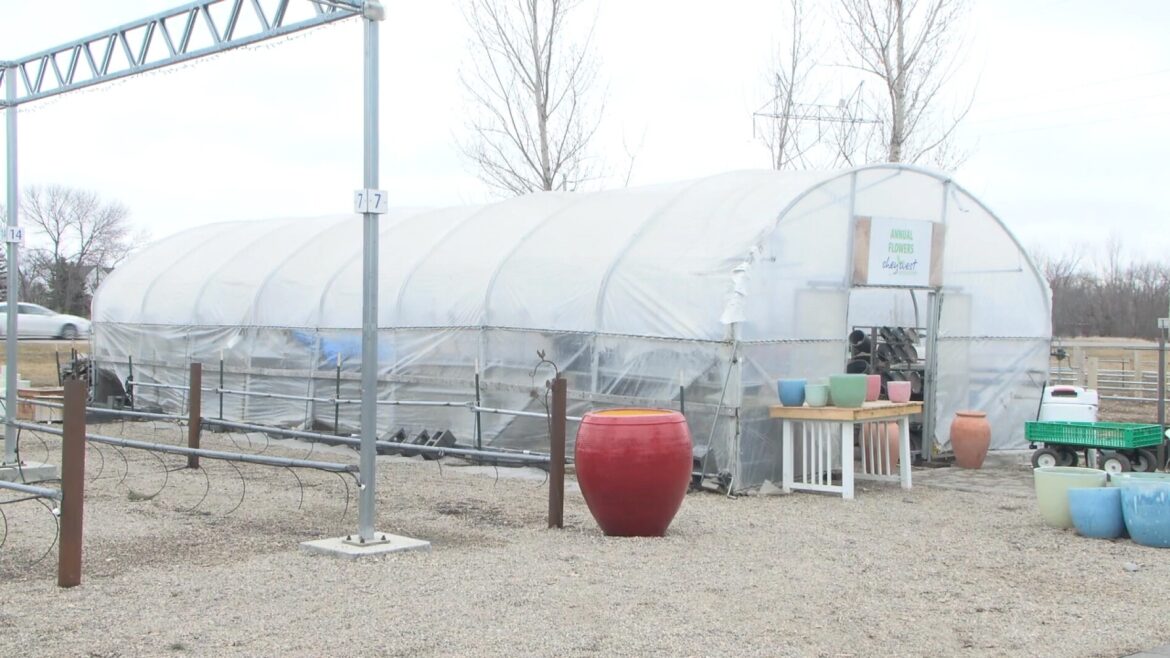 Garden centers begin preparing for spring season - InForum