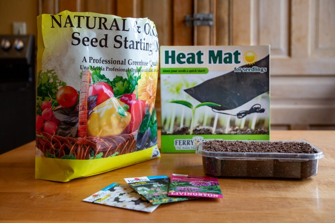 Tips for starting your own flower and vegetable transplants - InForum