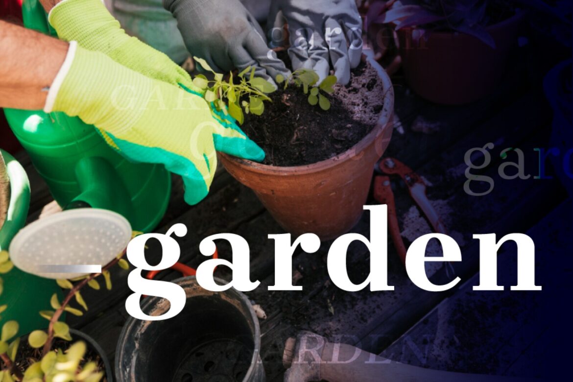 Master Gardener Sue Morris: Learn about plant propagation April 28 in Willmar - West Central Tribune