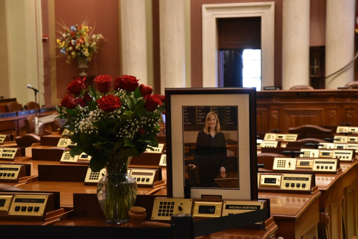 Community Solar Garden program to be named after ‘solar godmother’ Melissa Hortman - InForum