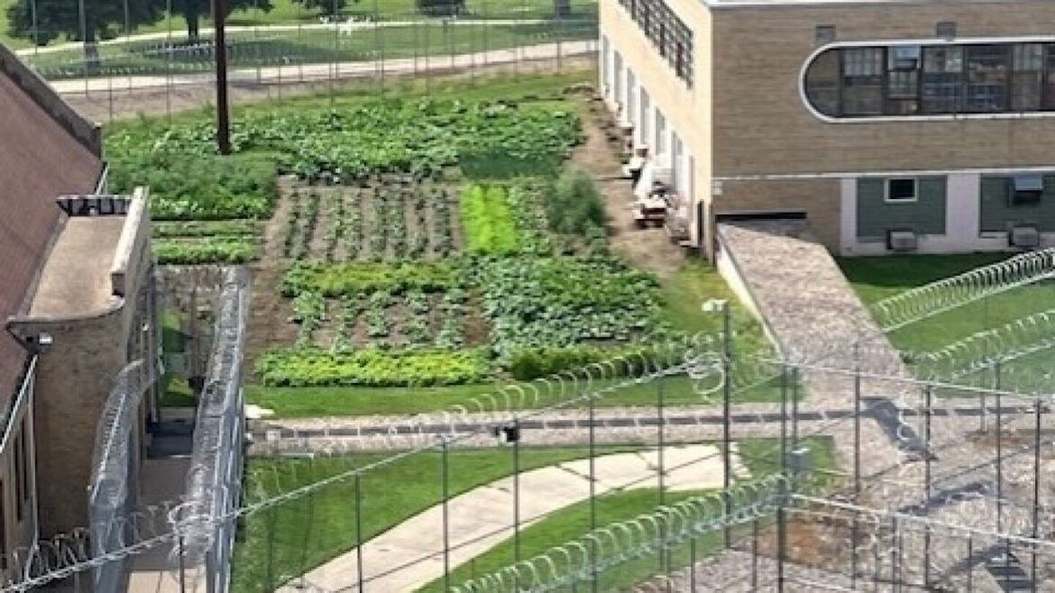 Gardens at Missouri River Correctional Center, James River Correctional Center help local food banks Gardens at Missouri River Correctional Center, James River Correctional Center help local food banks