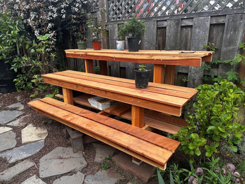Bonsai bench! Bonsai bench!