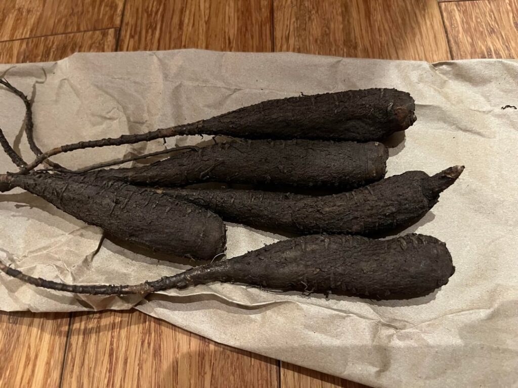 Are These Bleeding Heart Tubers? Are These Bleeding Heart Tubers?