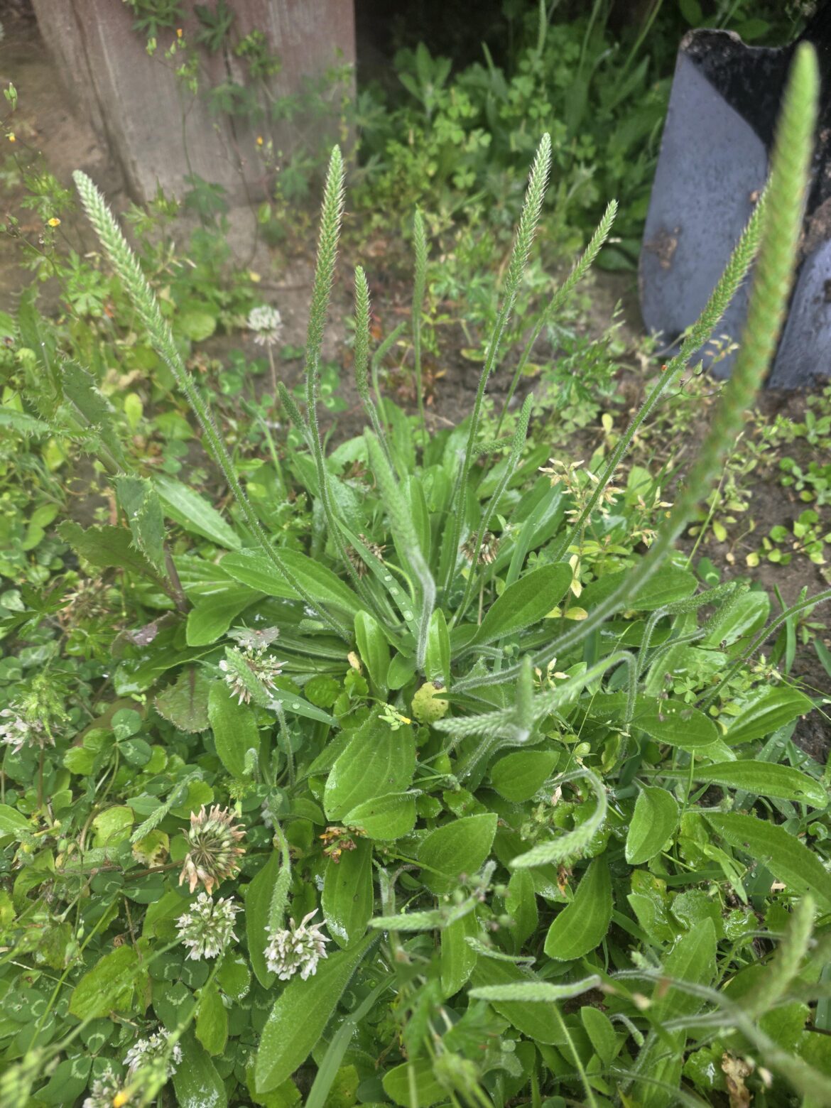 What is this?