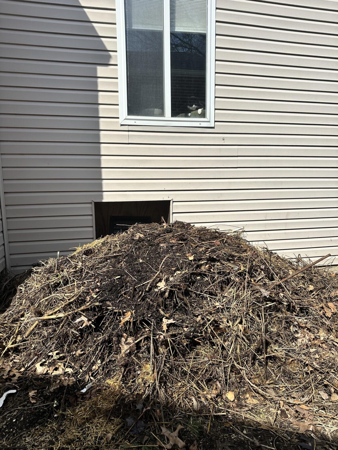 Can I save this pile?