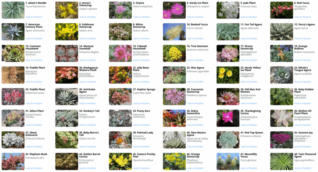 Free resource to find native and cultivable succulents to your exact location