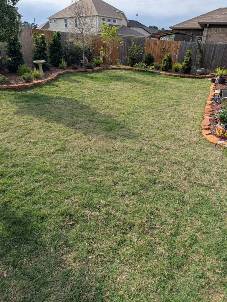 Houston, TX – New Celebration Bermuda sod Q Houston, TX - New Celebration Bermuda sod Q