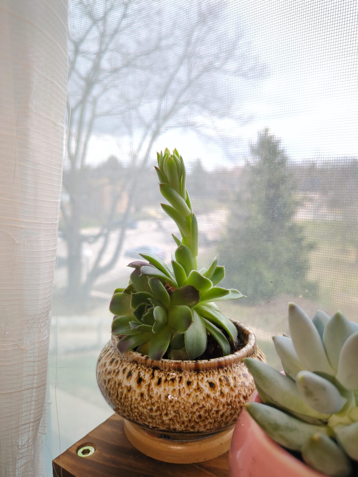 Is he happy or should i be concerned? Is he happy or should i be concerned?