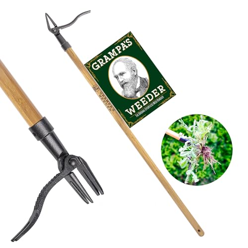 Grampa's Weeder - the Original Stand Up Weed Puller Tool With Long Handle - Made With Real Bamboo &amp; 4-Claw Steel Head Design - Easily Remove Weeds Without Bending, Pulling, or Kneeling.