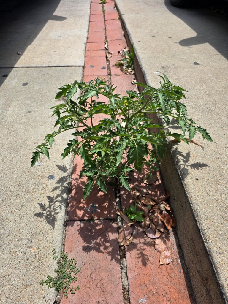 Life, uh, finds a way...