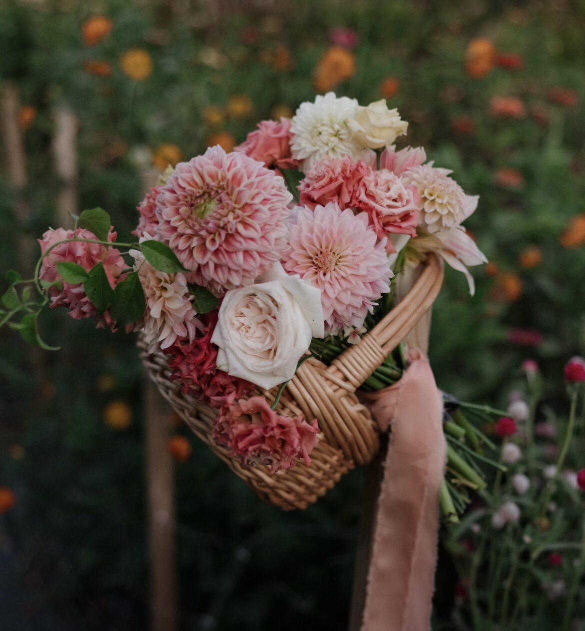My dahlia tuber sale started this morning….