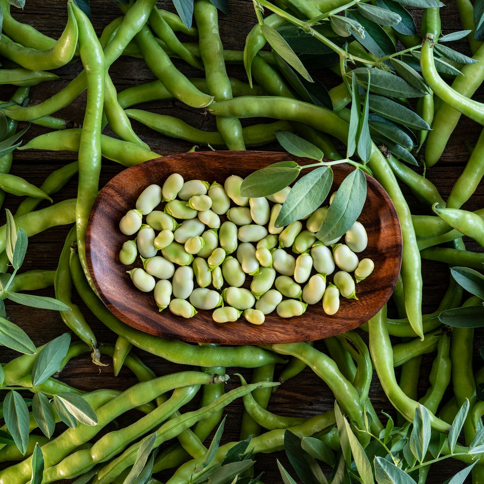 Broad beans lima beans fresh just after harvest broad beans lima beans fresh just after harvest background with plant leaves