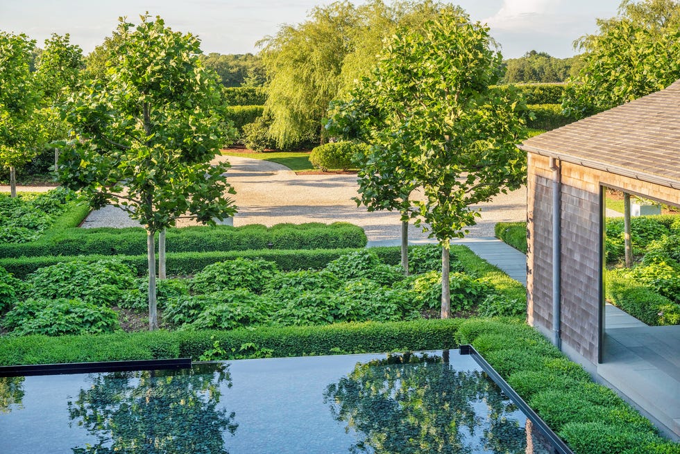 bridgehampton new york home pollarded plane trees give statuesque definition without obscuring views
