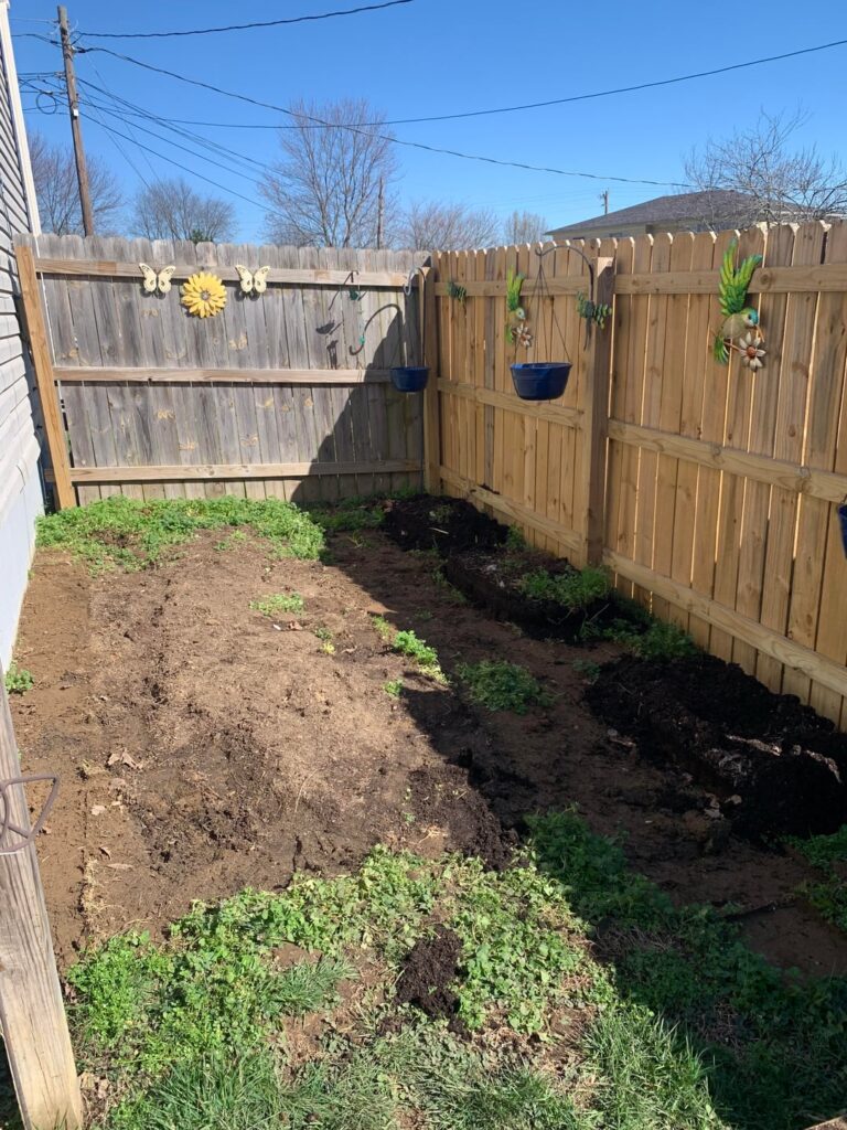 New area set up