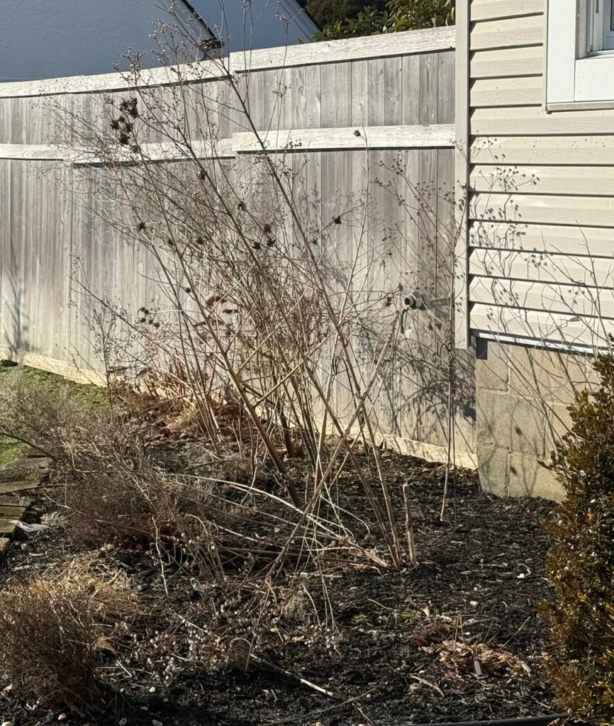 Now that spring is here what’s next? Long Island, NY