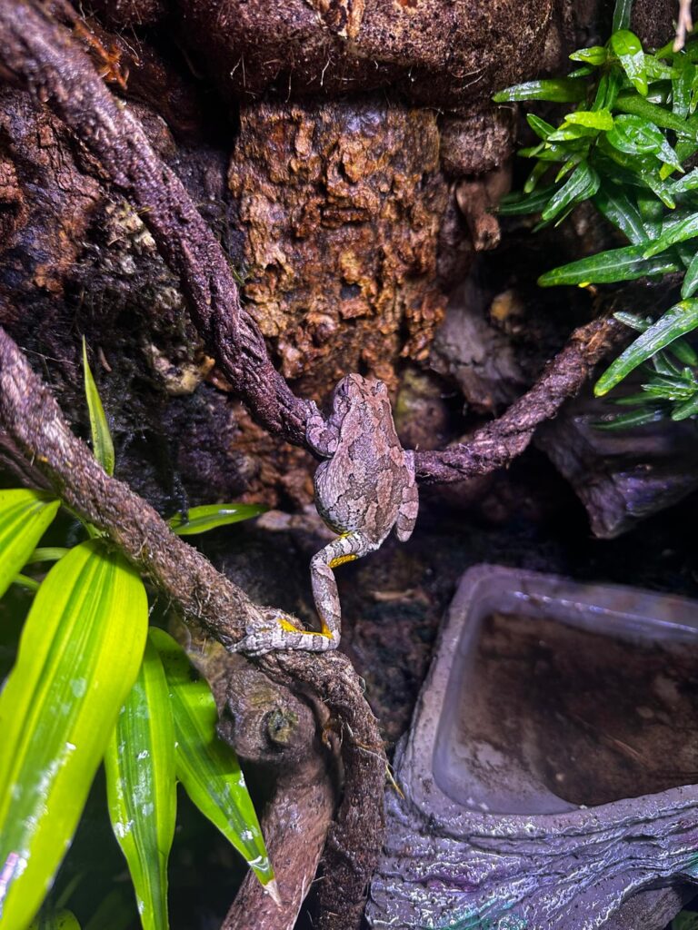 Just some candid shots of the Viv