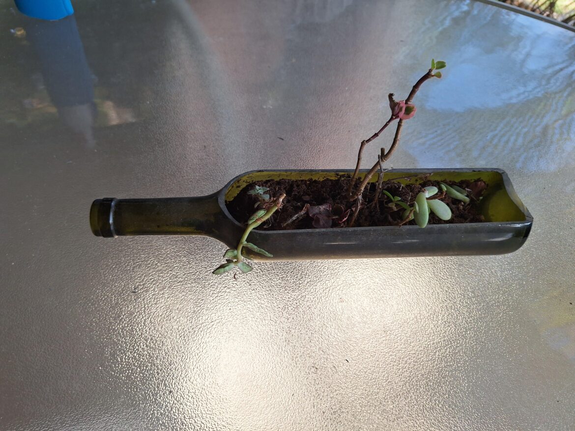 My sisters new hobby-