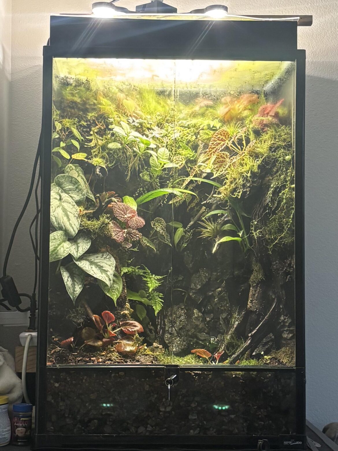 Viv Growing in nicely 🦺
