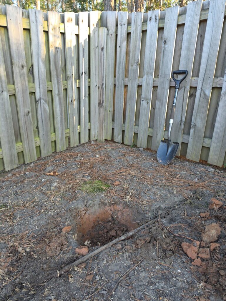Can I cut this root?