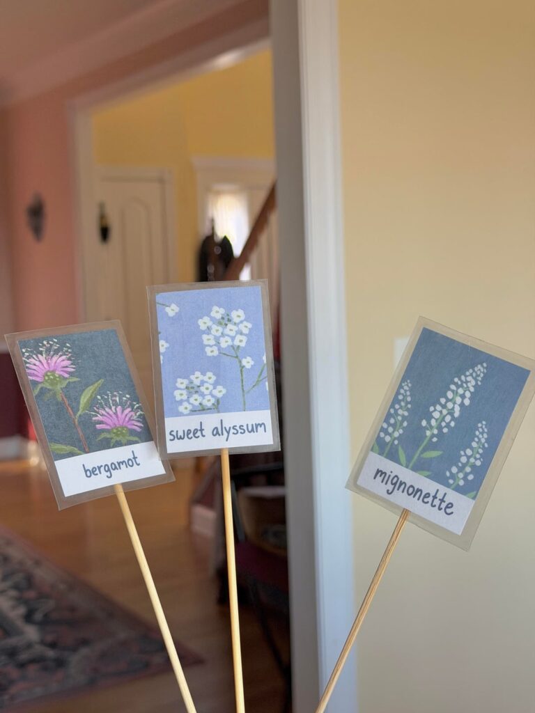 i drew and crafted my own plant labels :3
