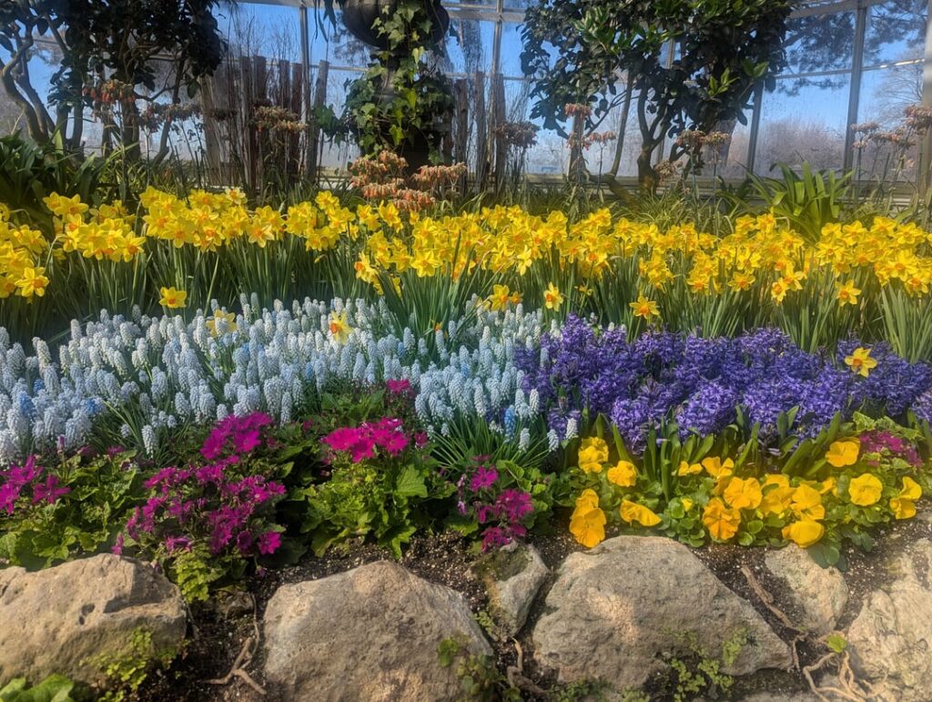 Visit a spring bulbs theme garden - tulips, daffodils, hyacinth, grapes hyacinth , it is just beautiful