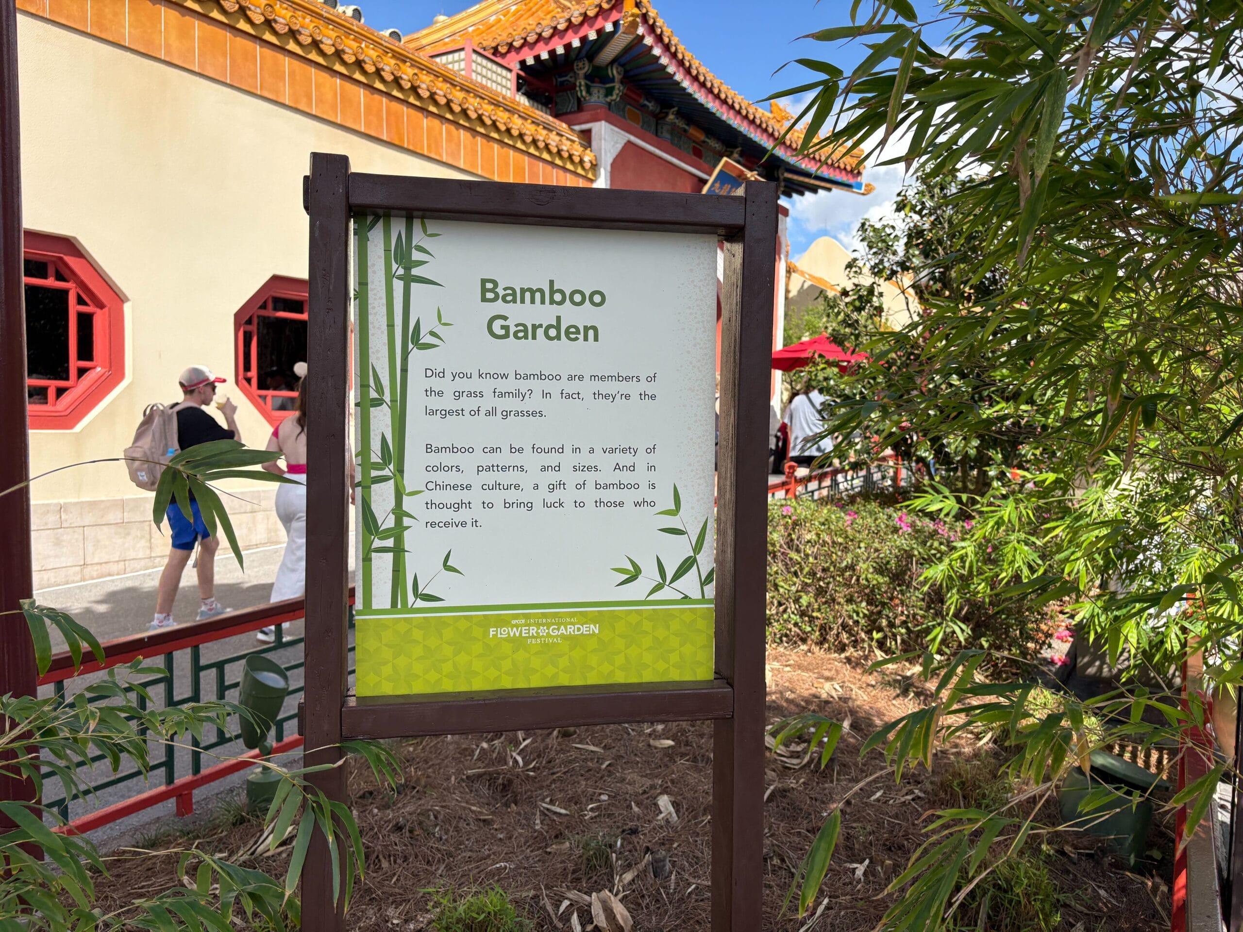Bamboo Garden